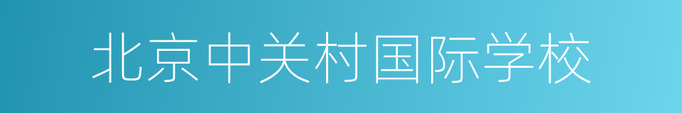 北京中关村国际学校的同义词