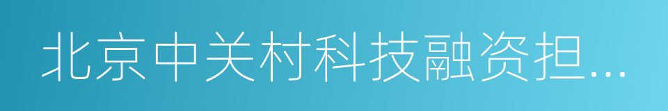 北京中关村科技融资担保有限公司的同义词