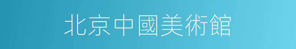 北京中國美術館的同義詞