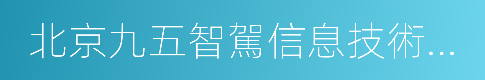 北京九五智駕信息技術股份有限公司的同義詞