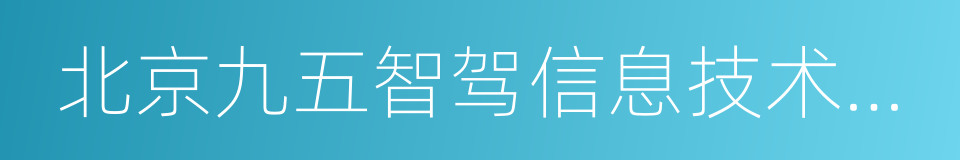北京九五智驾信息技术股份有限公司的同义词