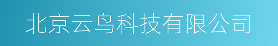 北京云鸟科技有限公司的同义词