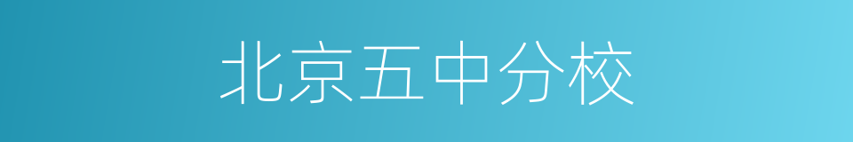 北京五中分校的同义词