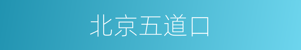 北京五道口的同义词