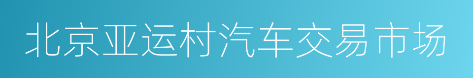 北京亚运村汽车交易市场的同义词