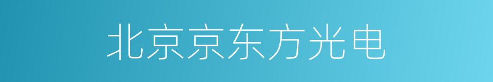 北京京东方光电的同义词