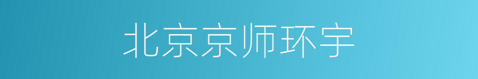 北京京师环宇的同义词