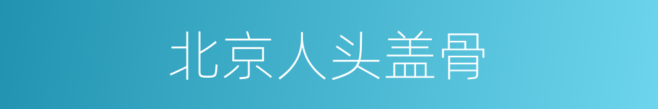 北京人头盖骨的同义词