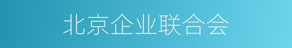 北京企业联合会的同义词