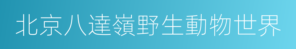 北京八達嶺野生動物世界的同義詞