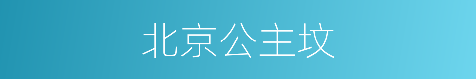 北京公主坟的同义词