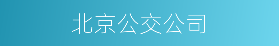 北京公交公司的同义词