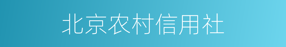 北京农村信用社的同义词