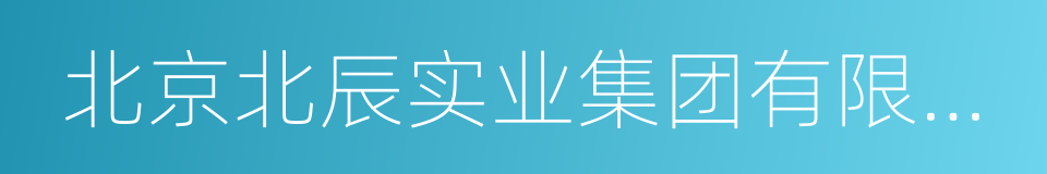 北京北辰实业集团有限责任公司的同义词