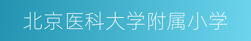 北京医科大学附属小学的同义词