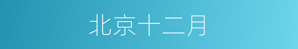 北京十二月的同义词