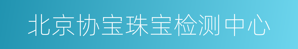 北京协宝珠宝检测中心的同义词