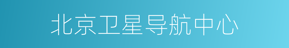 北京卫星导航中心的同义词