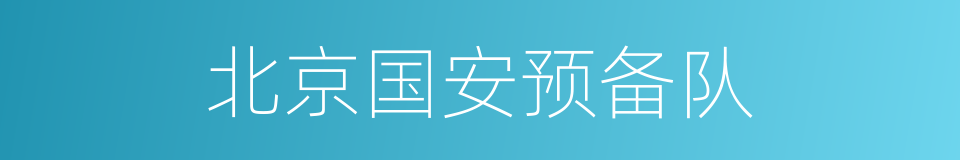 北京国安预备队的同义词