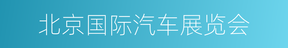 北京国际汽车展览会的同义词