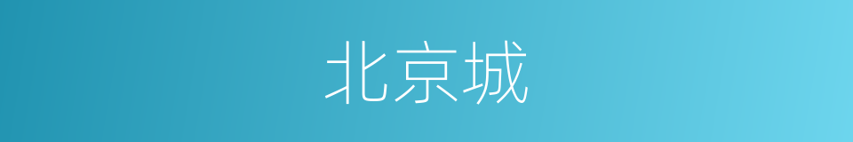 北京城的同义词