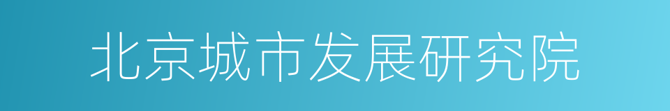 北京城市发展研究院的同义词