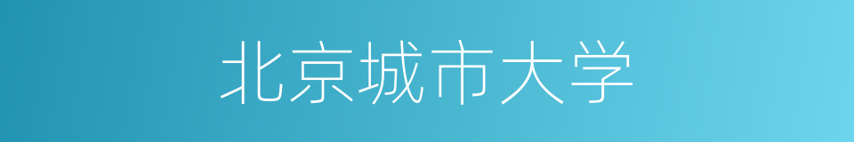北京城市大学的同义词