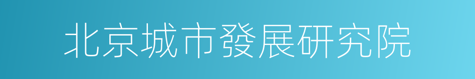 北京城市發展研究院的同義詞