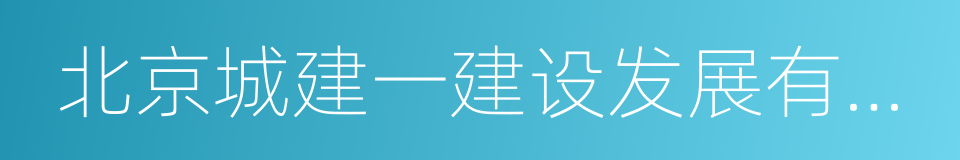 北京城建一建设发展有限公司的同义词