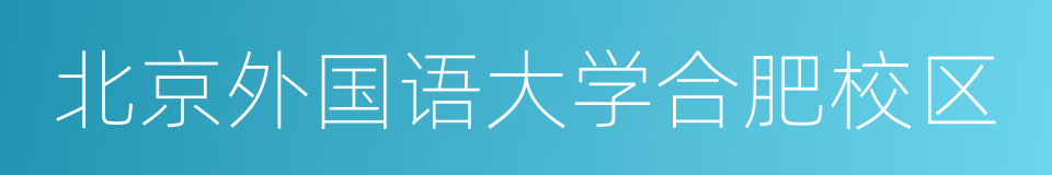 北京外国语大学合肥校区的同义词