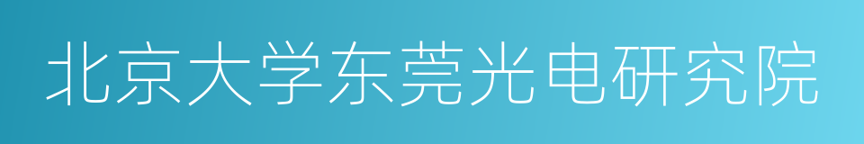 北京大学东莞光电研究院的同义词