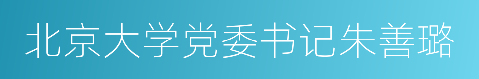 北京大学党委书记朱善璐的同义词