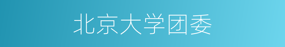 北京大学团委的同义词