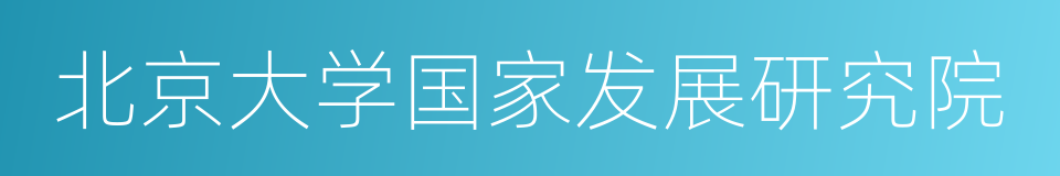 北京大学国家发展研究院的同义词