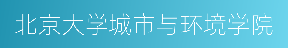 北京大学城市与环境学院的同义词