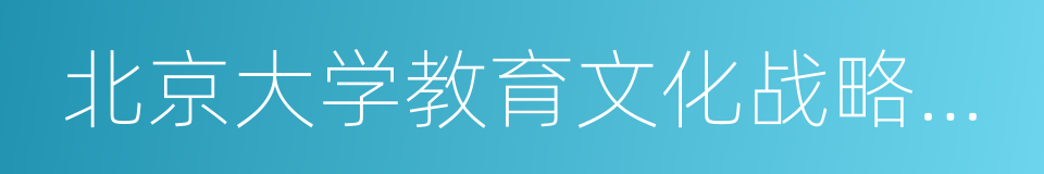 北京大学教育文化战略研究所的同义词