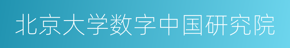 北京大学数字中国研究院的同义词