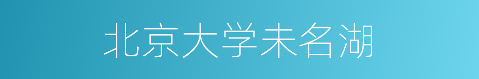 北京大学未名湖的同义词