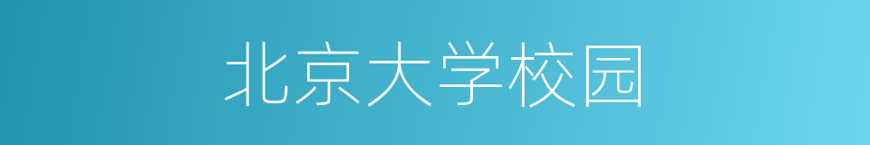 北京大学校园的同义词