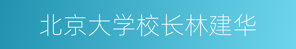 北京大学校长林建华的同义词