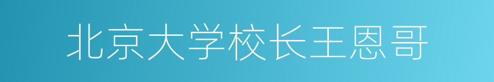 北京大学校长王恩哥的同义词