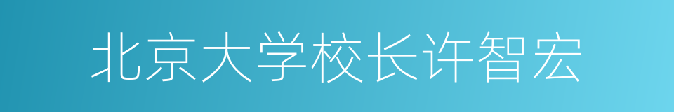 北京大学校长许智宏的同义词