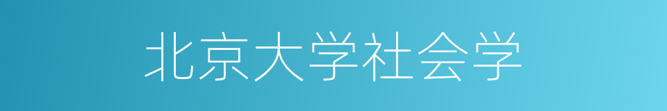 北京大学社会学的同义词