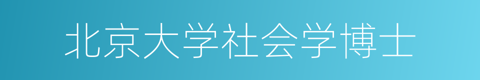 北京大学社会学博士的同义词