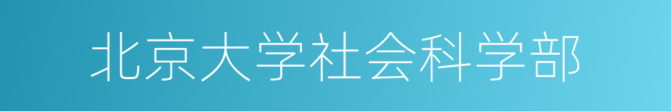 北京大学社会科学部的同义词