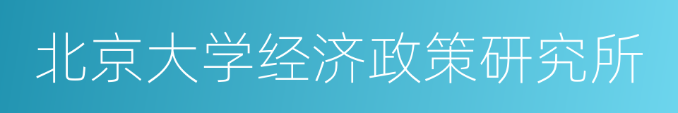 北京大学经济政策研究所的同义词