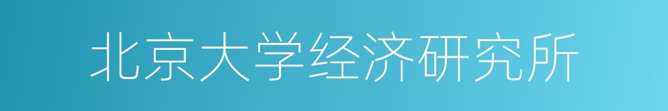 北京大学经济研究所的同义词