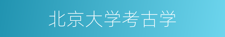 北京大学考古学的同义词