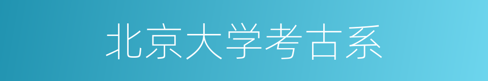 北京大学考古系的同义词