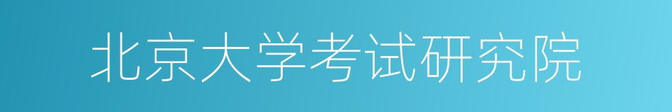 北京大学考试研究院的同义词